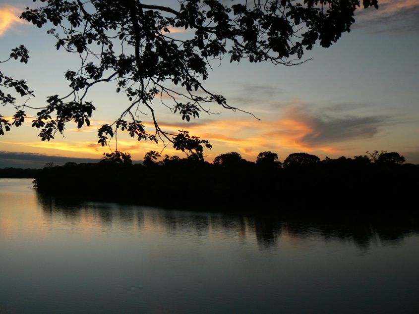 Jungle sunset on the lake